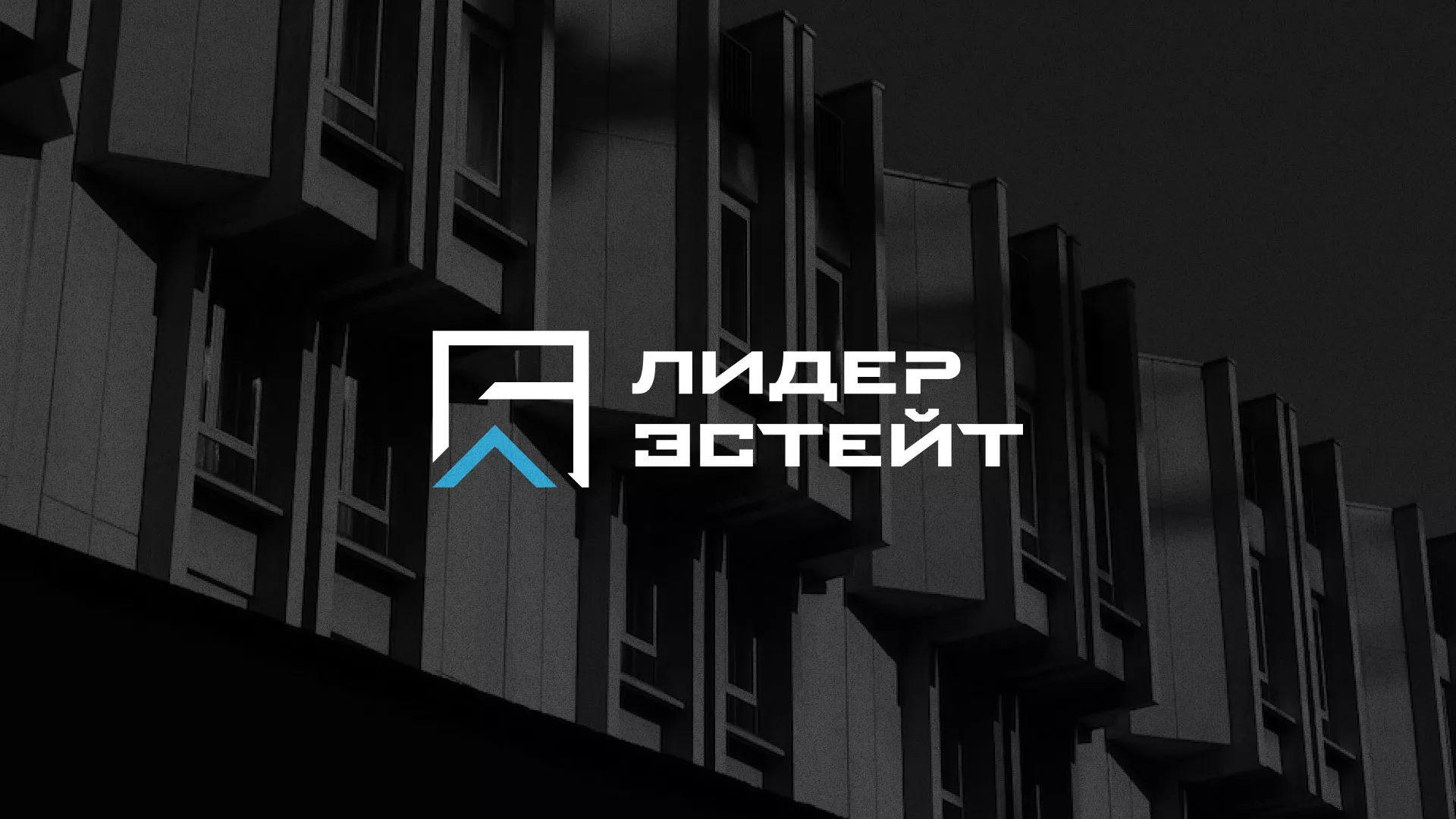 Разработка логотипа агентства недвижимости «Лидер Эстейт» в Троицке